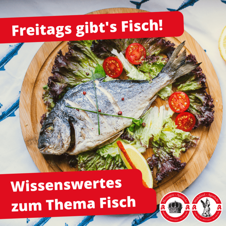 Fisch Beitrag