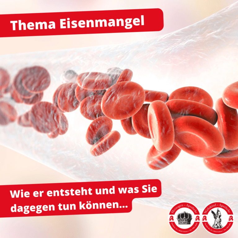 Eisenmangel Teaser Bild