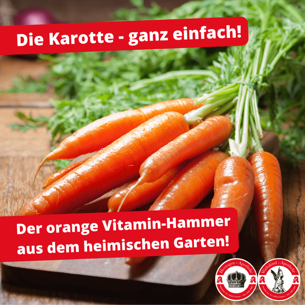 Die Karotte, das orange Super Food