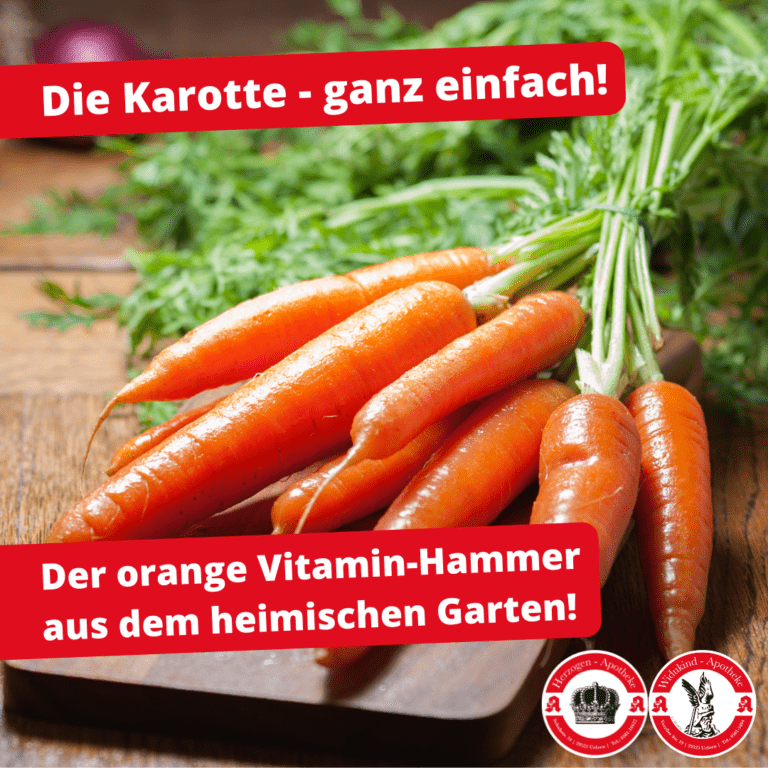 Die Karotte, das orange Super Food