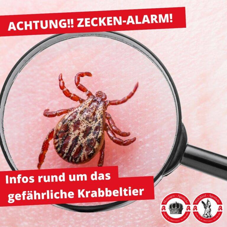 Zeckenzeit - Beste Produkte und Beratung in der Widukind-Apotheke Uelzen