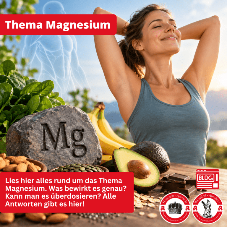 Was bewirkt Magnesium im Körper? Beratung aus der Widukind-Apotheke Uelzen